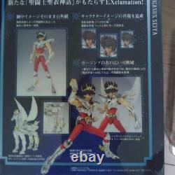 BANDAI Saint Cloth Myth EX Pegasus Seiya New Bronze Cloth Figure Saint Seiya