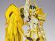 Saint Seiya Myth Cloth Ex Capricorn Shura God Cloth