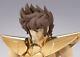 Saint Seiya Saint Cloth Myth Ex Pegasus Seiya 40th Anniversary Edition M